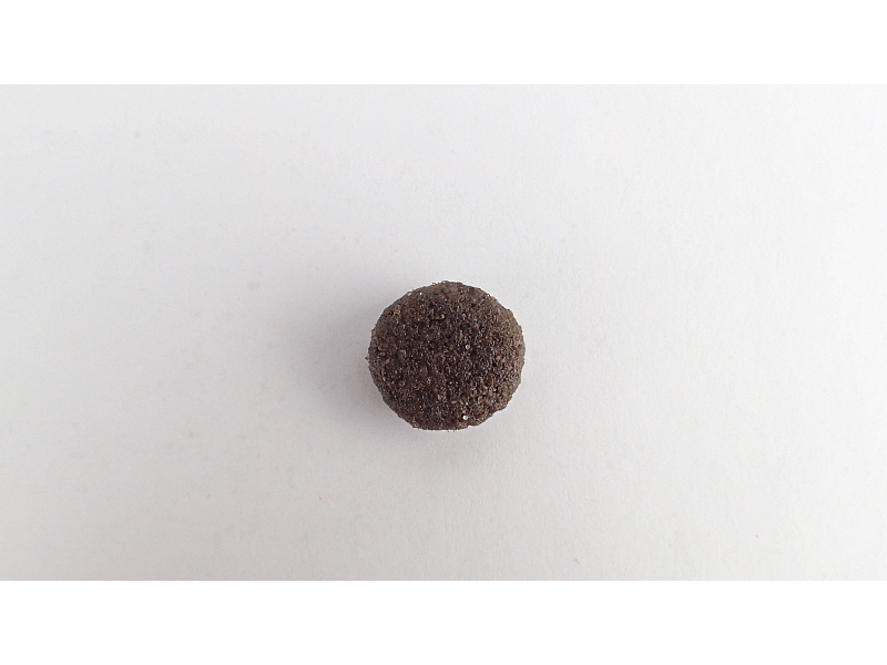 Calibra Hond Life Adult Large Breed Lamb