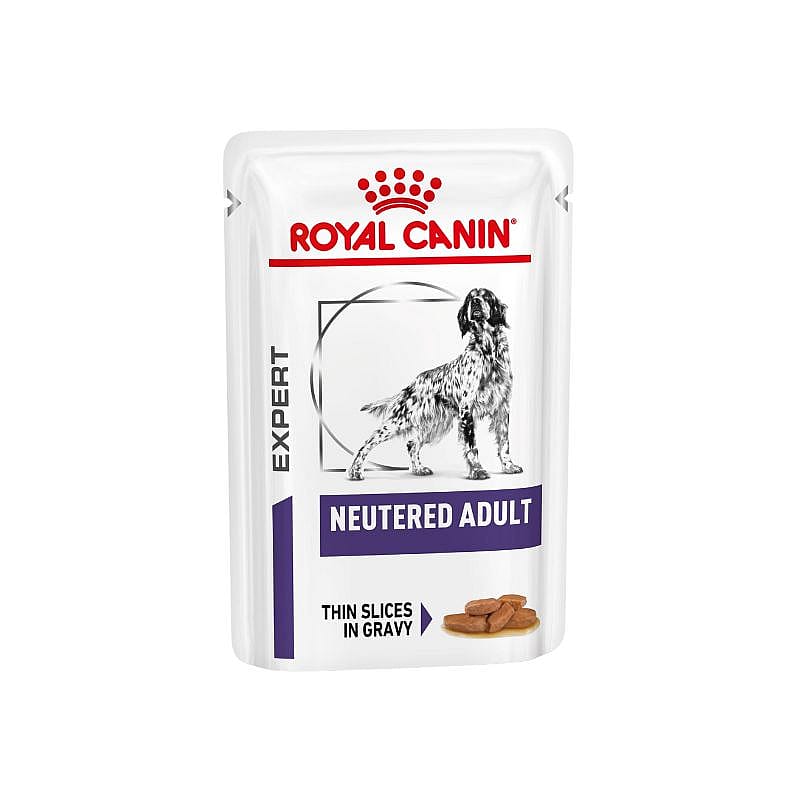 Dier, Hondje, Hond, Zoogdier, Huisdier, Dier, Hondje, Hond, Zoogdier, Huisdier, Dier, Hondje, Hond, Zoogdier, Huisdier, Dier, Hondje, Hond, Zoogdier, Huisdier