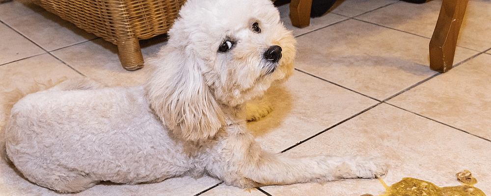 c58d1bf7fe723724867fc3e5cef02268