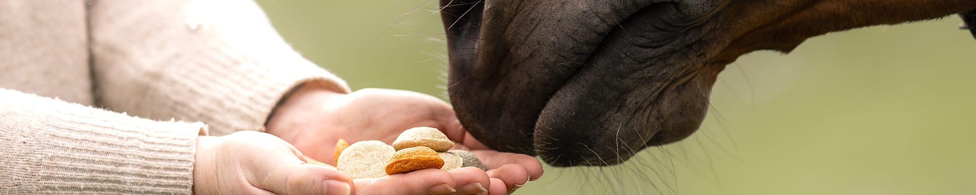 Lichaamsdeel, Vinger, Hand, Persoon