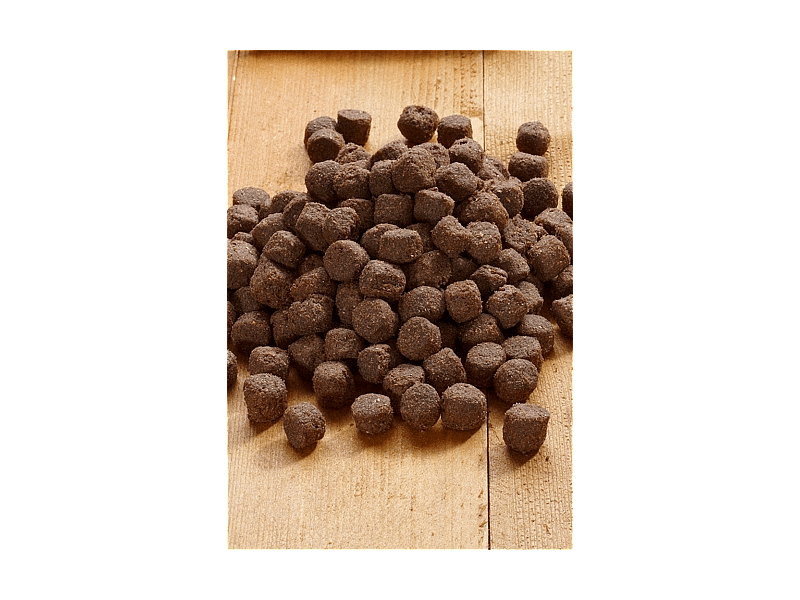 Vet-Concept Basic Plain Hondenvoer