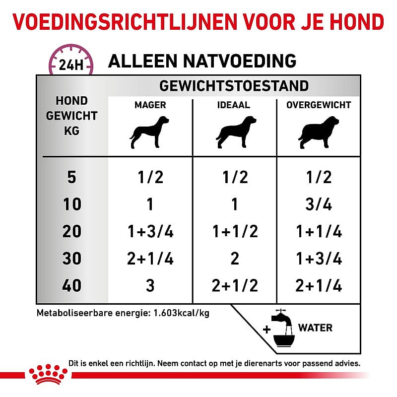 Royal Canin Renal Special Hond 12 x 410 gram blikjes