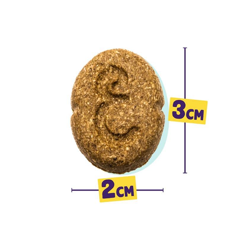 Edgard & Cooper Limited Edition ''Kerst'' Biscuits Hondensnack Kalkoen Eend 400 gram