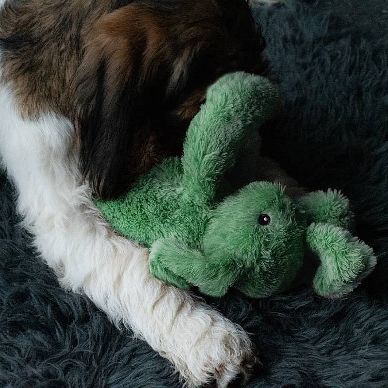 Cozy Dog Bunny Knuffel