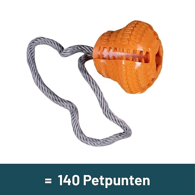petpen, pet toy, teether, rope toy, orange