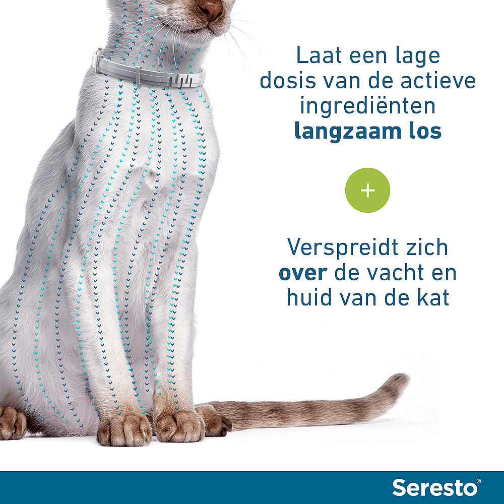Seresto Halsband Kat: Vlooien en Teken Bescherming - 7 tot 8 maanden - Geurloos & Waterbestendig