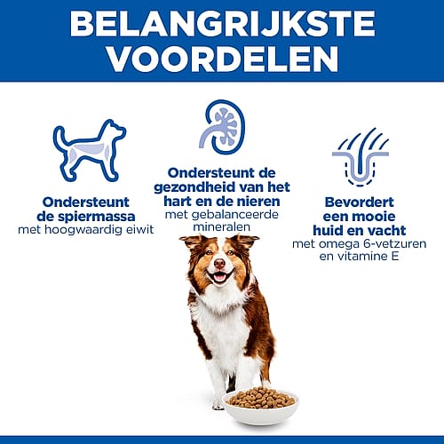 hondenvoer, brokjes, voeding, dierenvoer, premium hondenbrok