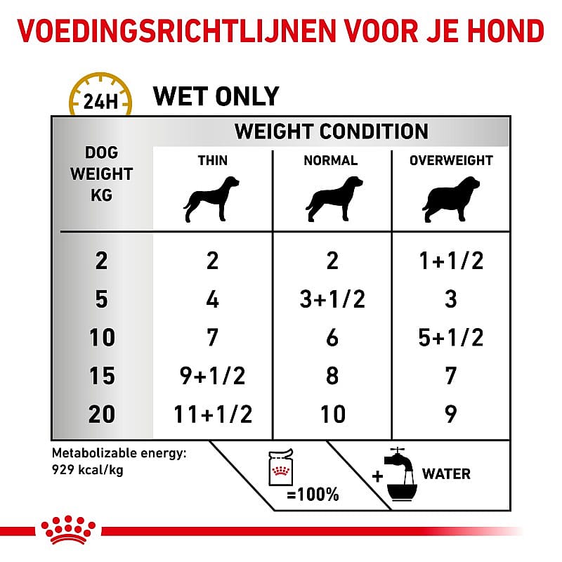 Royal Canin Urinary S/O Hond 12 x 100 gram maaltijdzakjes - Thin slices in gravy