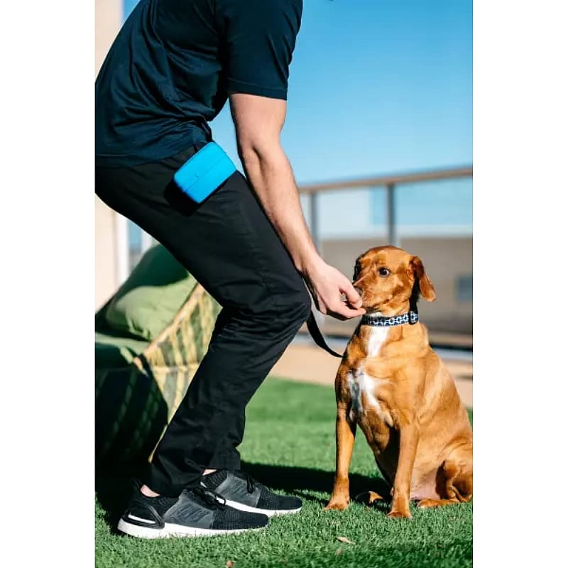 Popware Pooch Pouch Treatbag Blauw