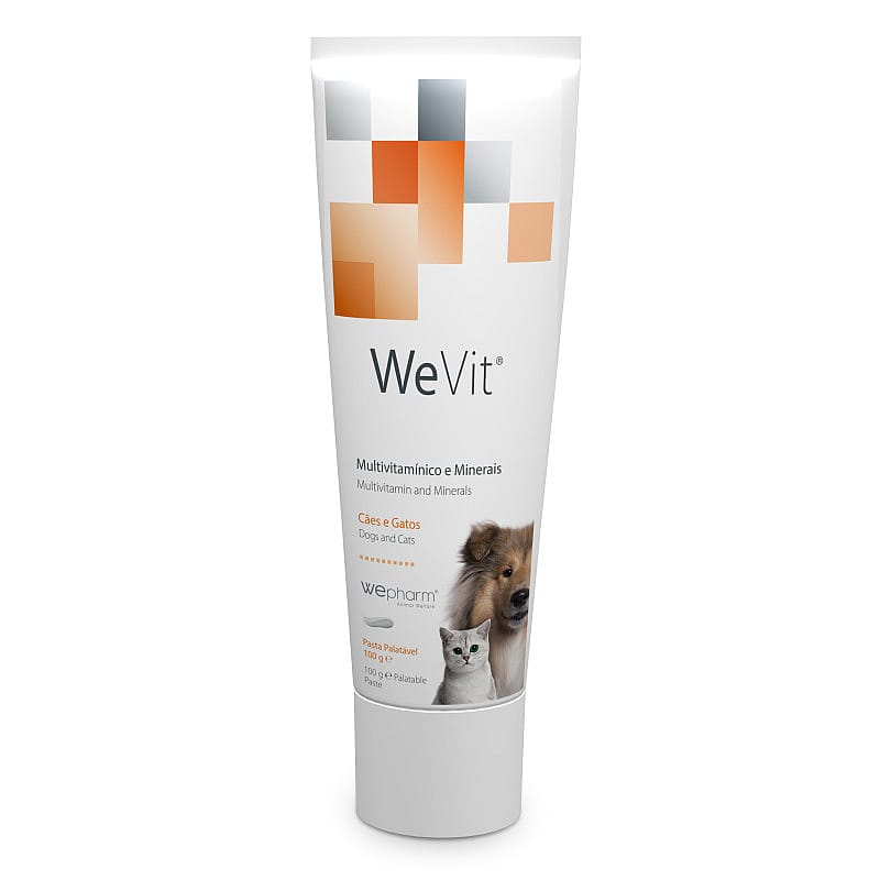Wepharm WeVit Gel 100 gram