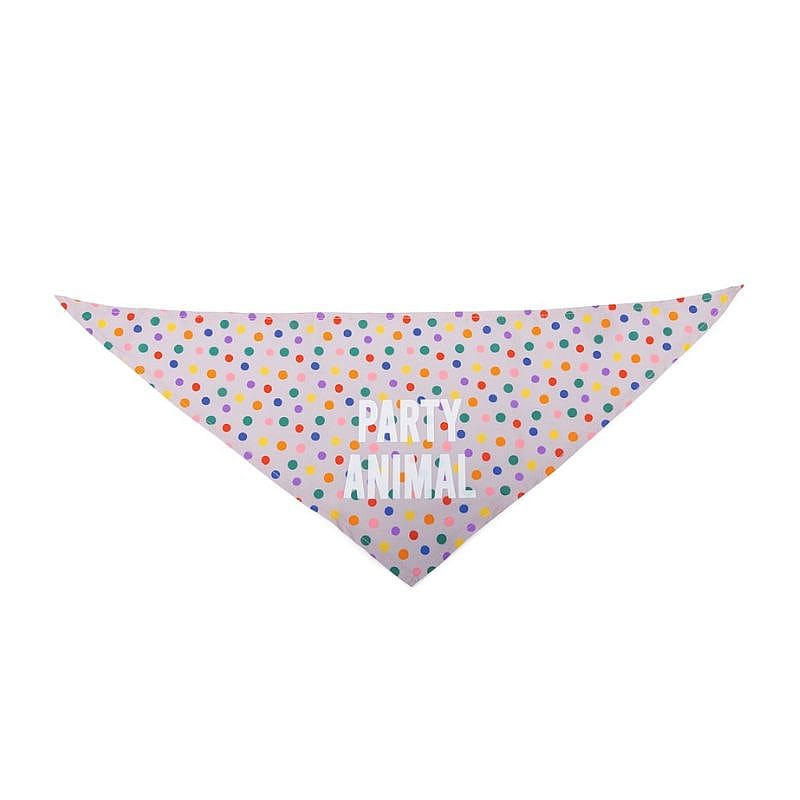 Beeztees Party Bandana 