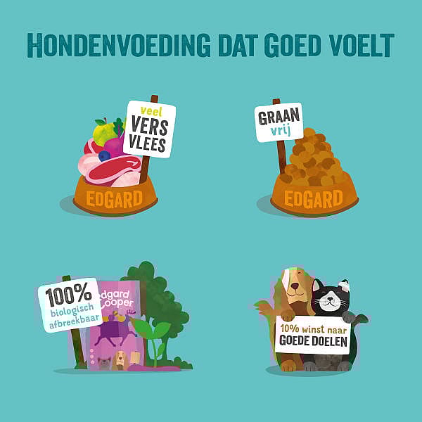 Edgard & Cooper Senior Hondenvoer Verse Scharrelkip en Noorse Zalm 12 kg