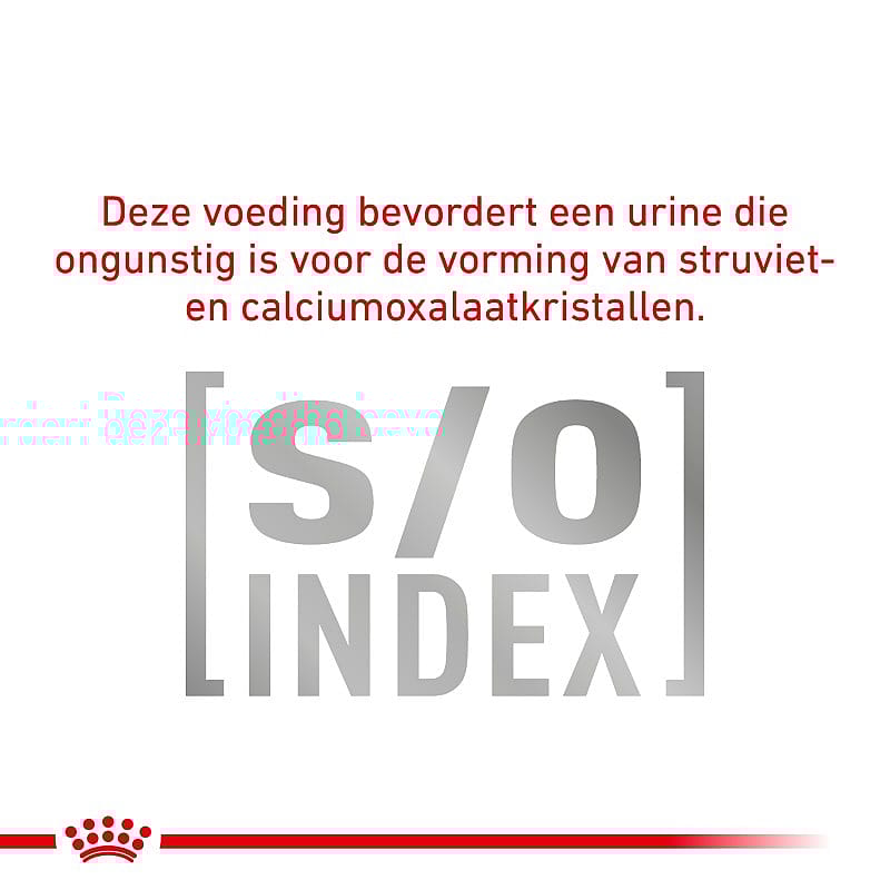 Royal Canin Diabetic Special Natvoer Hond 12 x 195 gram blikjes