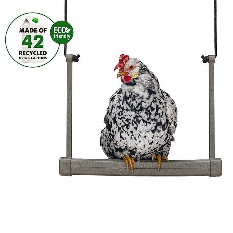 haan, hen, kip, vogeltje, tuindecoratie