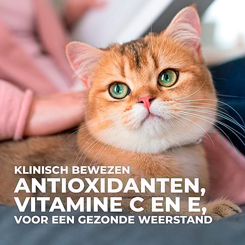 Hill's Science Plan Mature Adult 7+ Kattenvoer Tonijn 1.5 kg