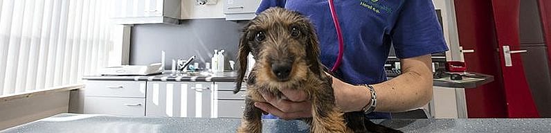 518653cdf6ba89beb97e9ba126097c59