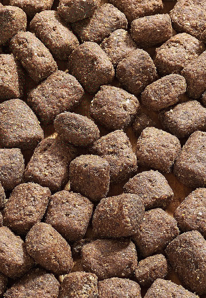 Vet-Concept Maxi Plain Hondenvoer 15 kg