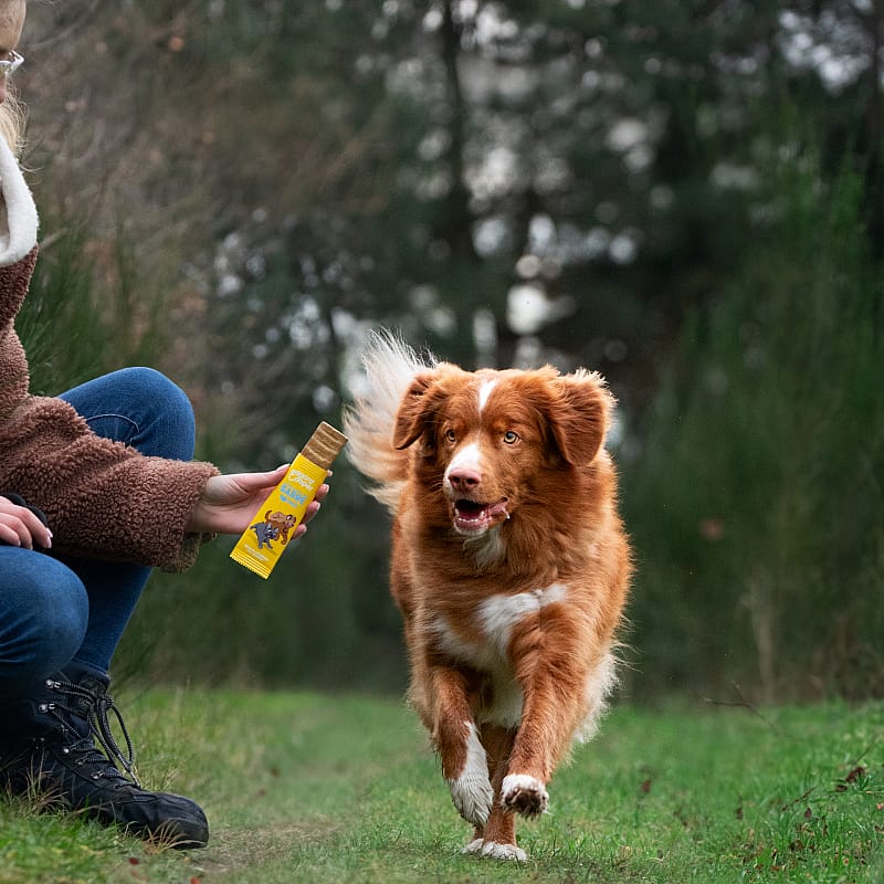 Edgard & Cooper Keep It Up Bar Kalkoen 30 gram