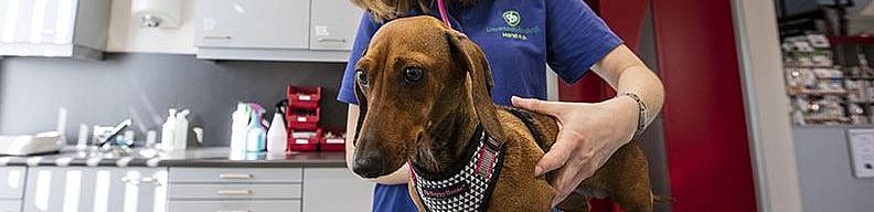 31eafa57165c90ad088a6c216fb26bac