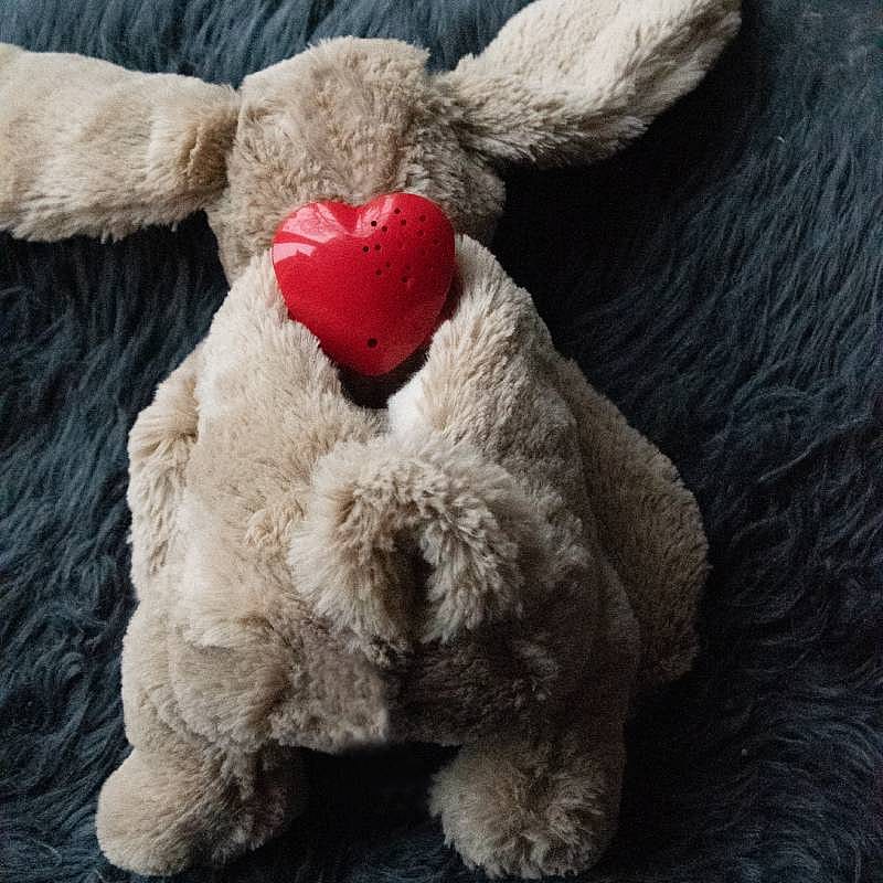 Cozy Dog Bunny Knuffel Bruin