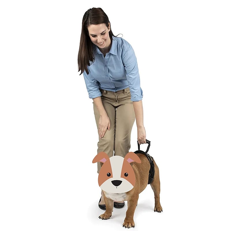 Carelift Hondentuig Achter Maat Medium