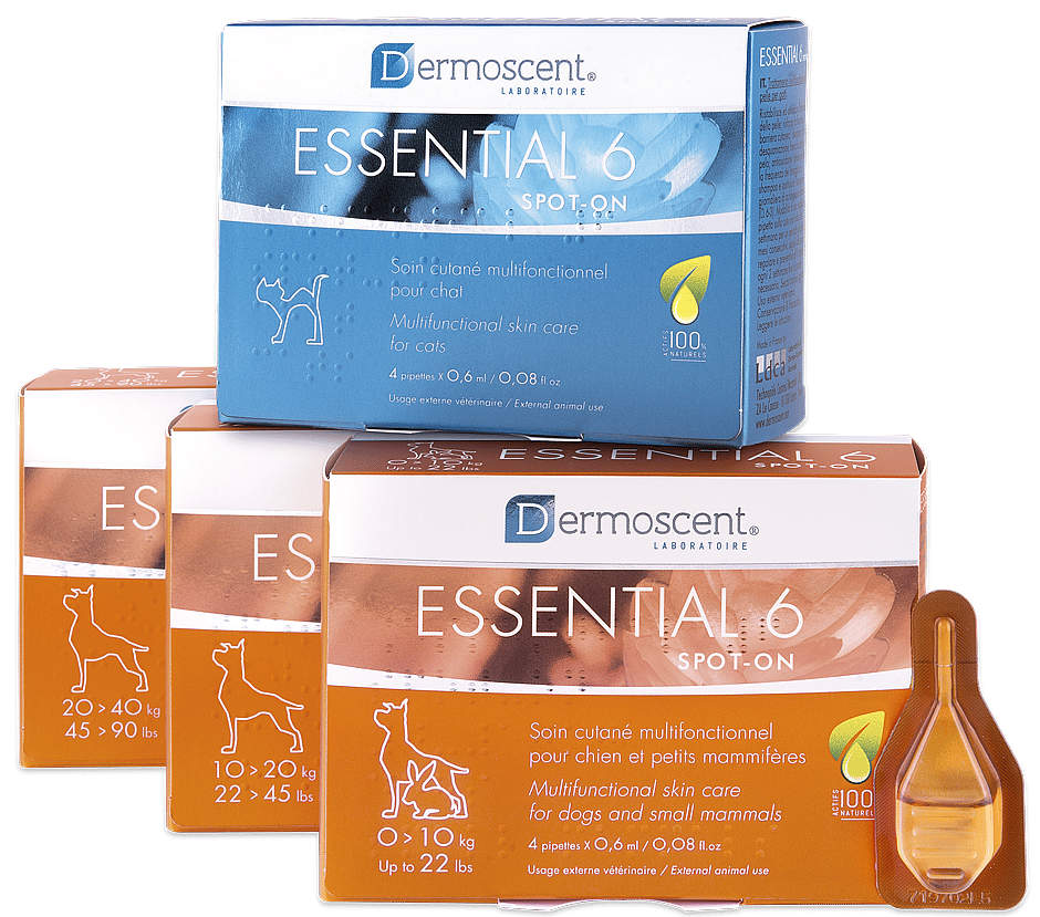 Dermoscent Essential Hond