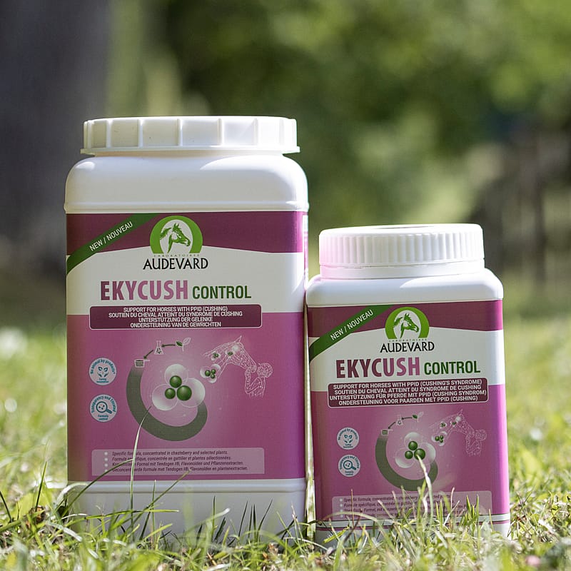 Audevard Ekycush Control Cushing Paard
