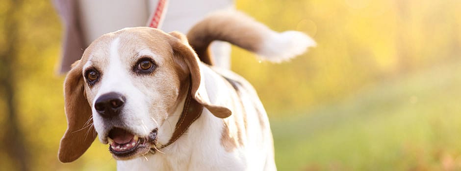 5ac5f0cc50eb8d104d02690219345135