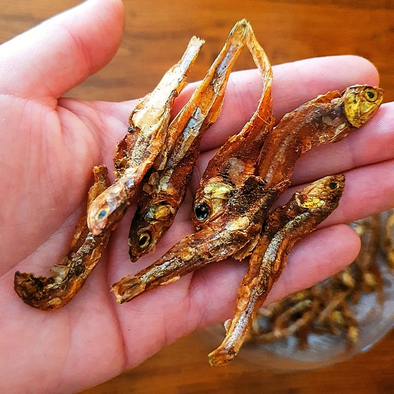 Dierapotheker Gedroogde Visjes