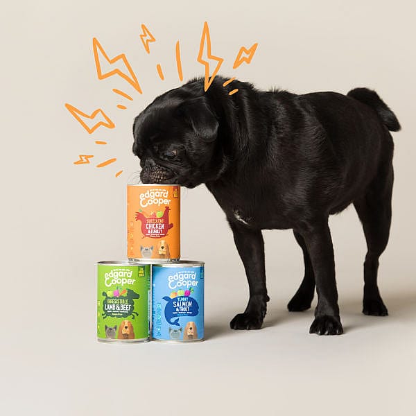 5425039485300_5 Edgard & Cooper Adult Hondenvoer Blikjes Kip & Kalkoen 6 x 400 gram