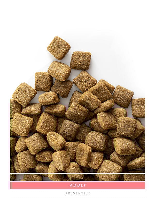 Sanimed Adult Hondenvoer: Alle Rassen - Ondersteunt Weerstand - Spijsvertering 3 kg