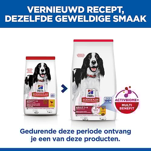 Hill's Science Plan Medium Adult Hondenvoer Kip