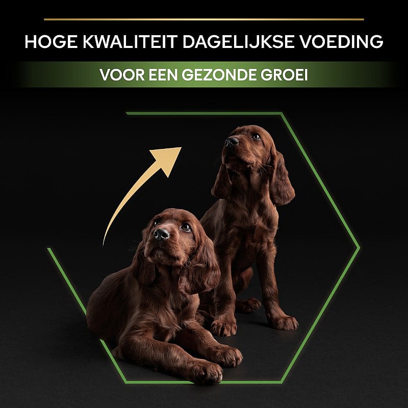 Purina Pro Plan Large Athletic Puppy Healthy Start Hondenvoer 12 kg