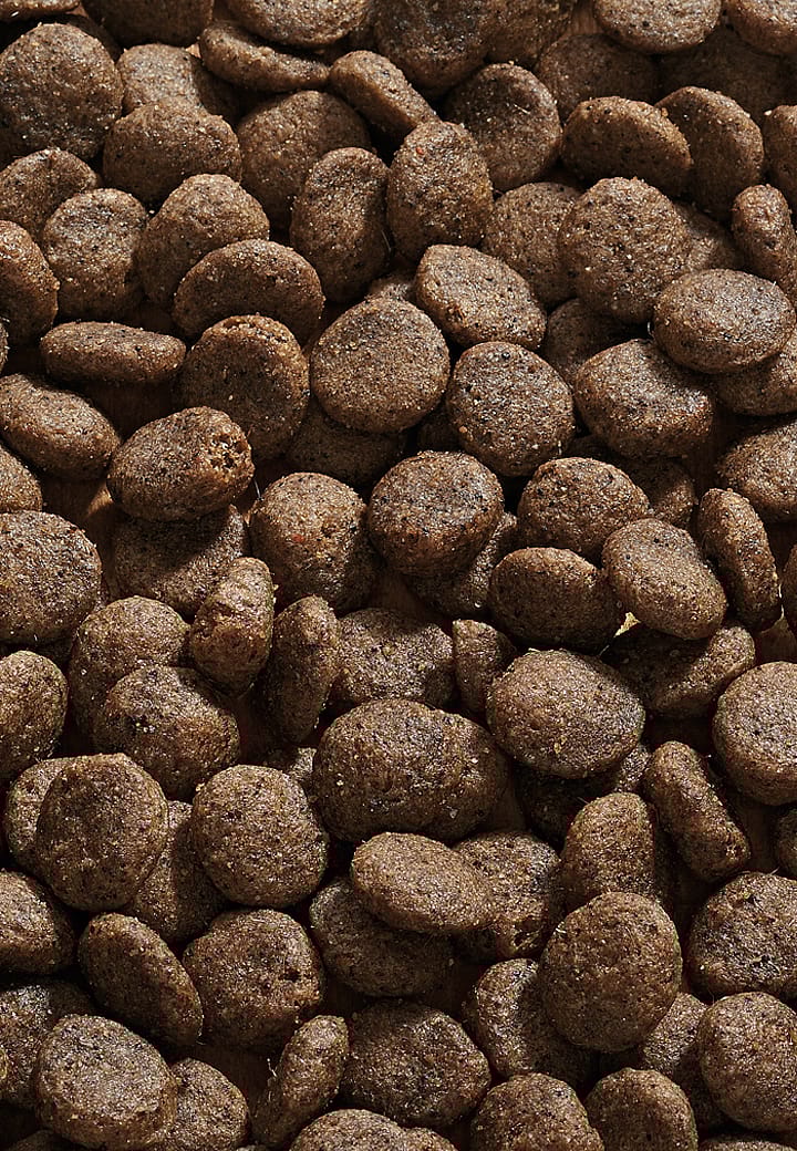 Vet-Concept Sensitive Diet Forel hondenvoer