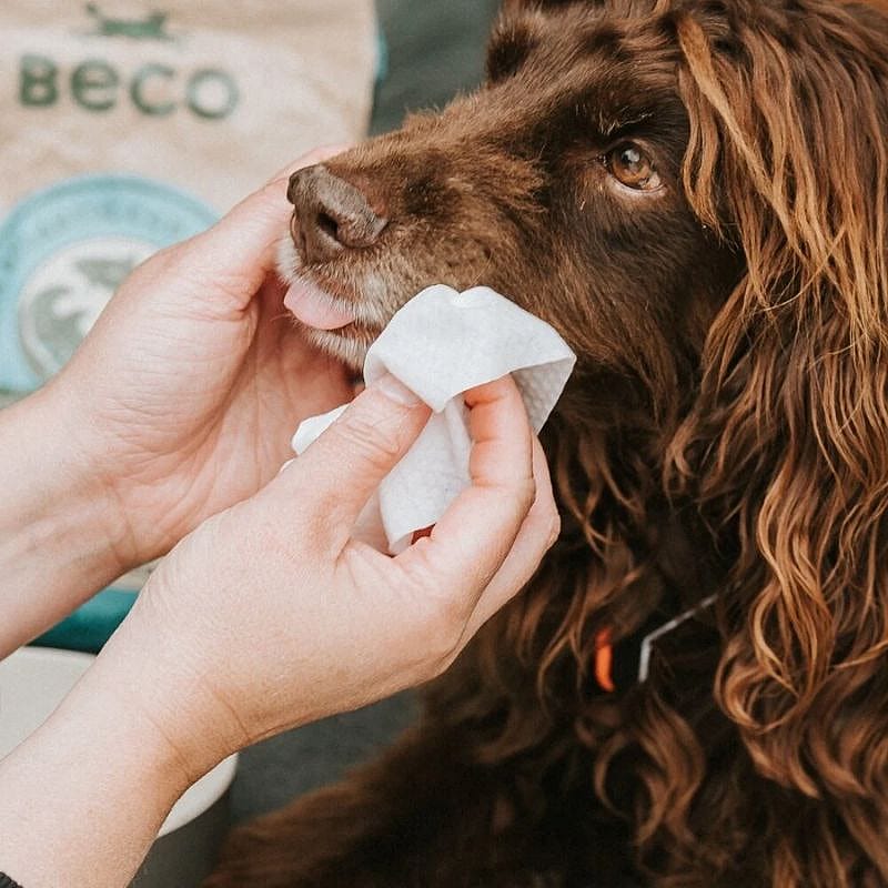 Beco BAMBOO Dog Wipes Travel 20 pack Hond Unscented