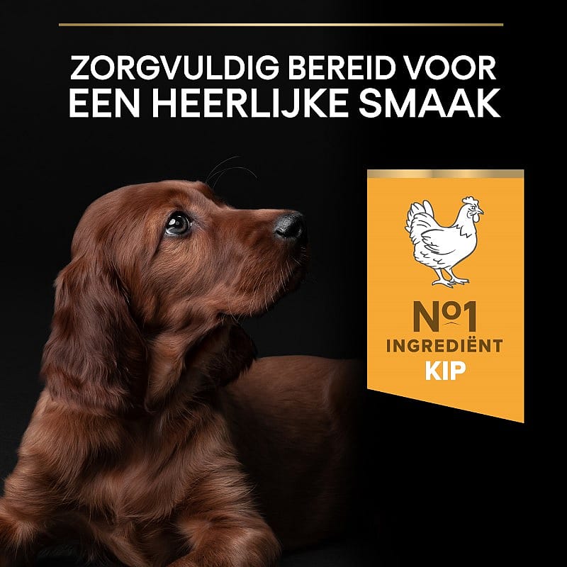 Purina-large-athletic-puppy-healthy-start-12kg-Smaak Purina Pro Plan Large Athletic Puppy Healthy Start Hondenvoer 12 kg