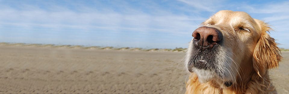 57f3f97a11ea7fec75566895aebdeae5