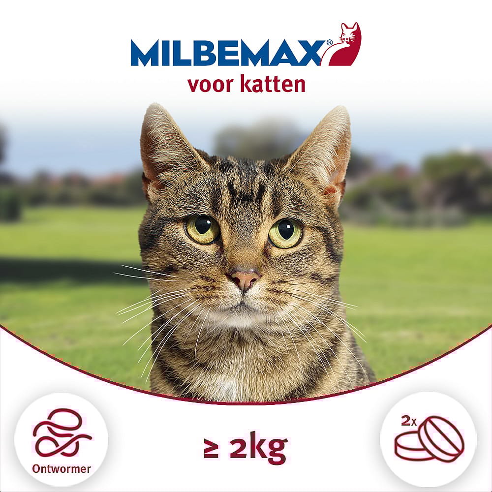Milbemax Grote Kat Ontwormingstabletten 2 tabletten