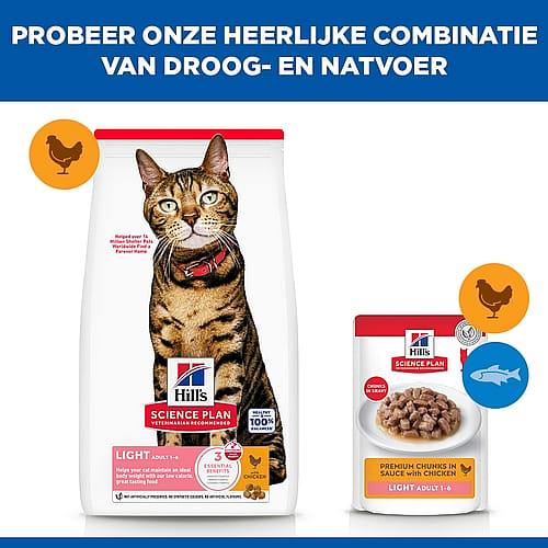 kat, kattenvoer, brokjes, voeding huisdier, lichtvoer