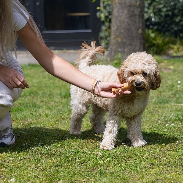 Beeztees Yakstaaf Snack Hond S