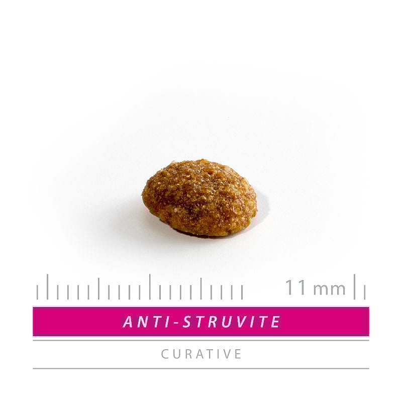 Sanimed Anti Struvite Kat