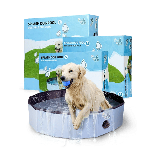Coolpets Zwembad