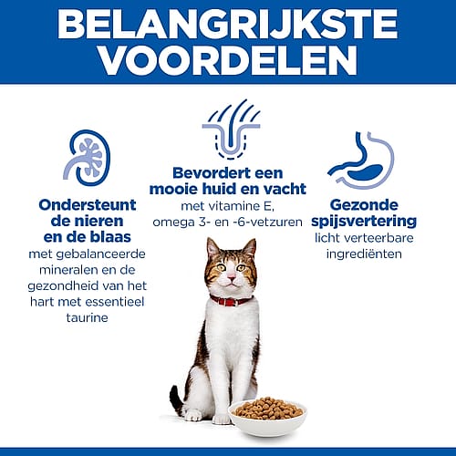 kat, kattenvoer, voerbak, brokjes, voedingsbalans
