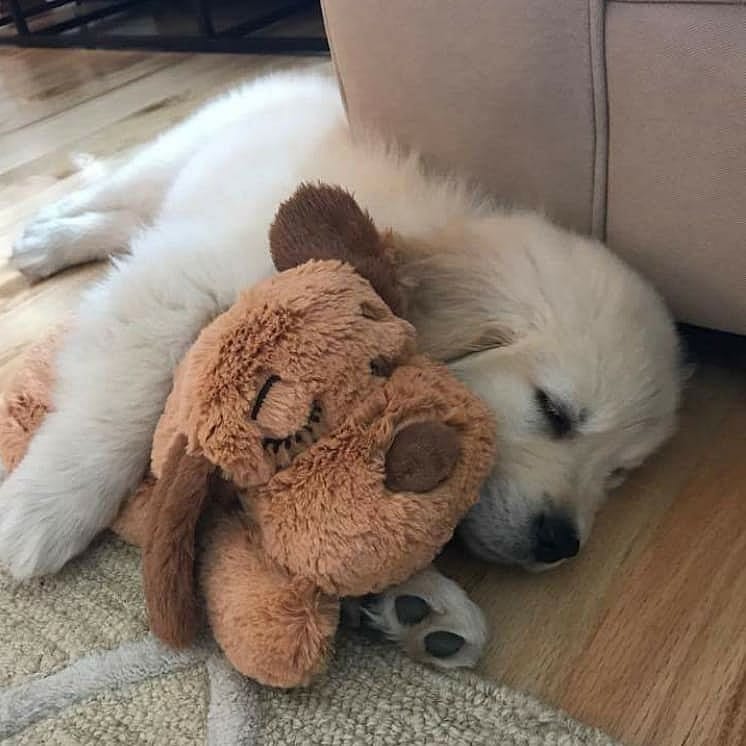 Snuggle Puppy Zwart