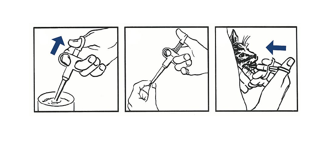 Buster Pillenschieter