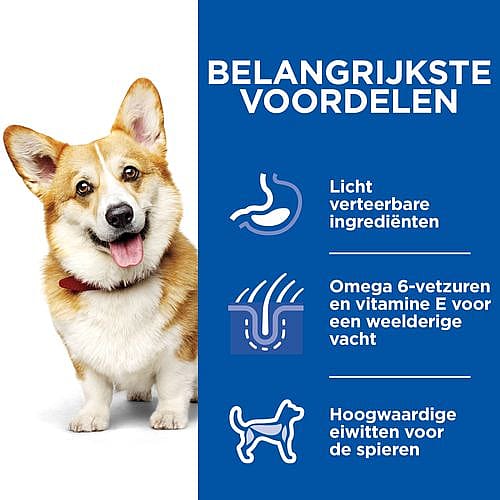 Hill's Science Plan Adult Small & Mini Hondenvoer Stoofpotje Kip Rund 12 x 80 gram