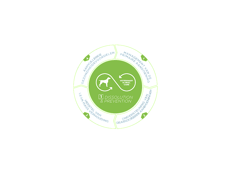 HPM Dog Urology Dissolution & Prevention 3 kg