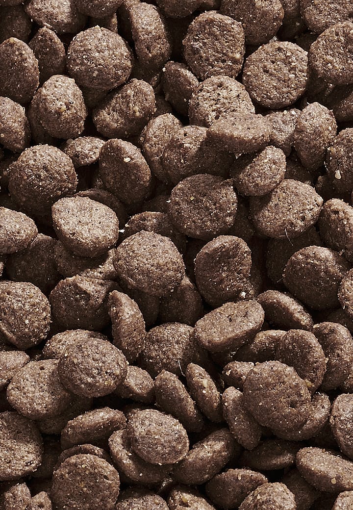 Vet-Concept Intestinal Low Fat Hondenvoer