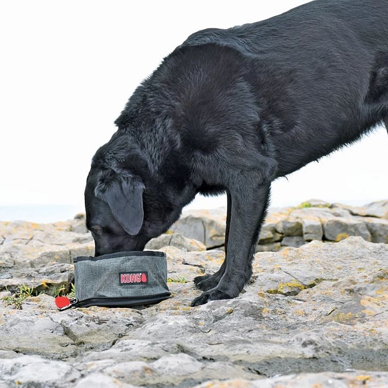 KONG Fold-Up Bowl Hond Dubbele Voer/Drinkbak