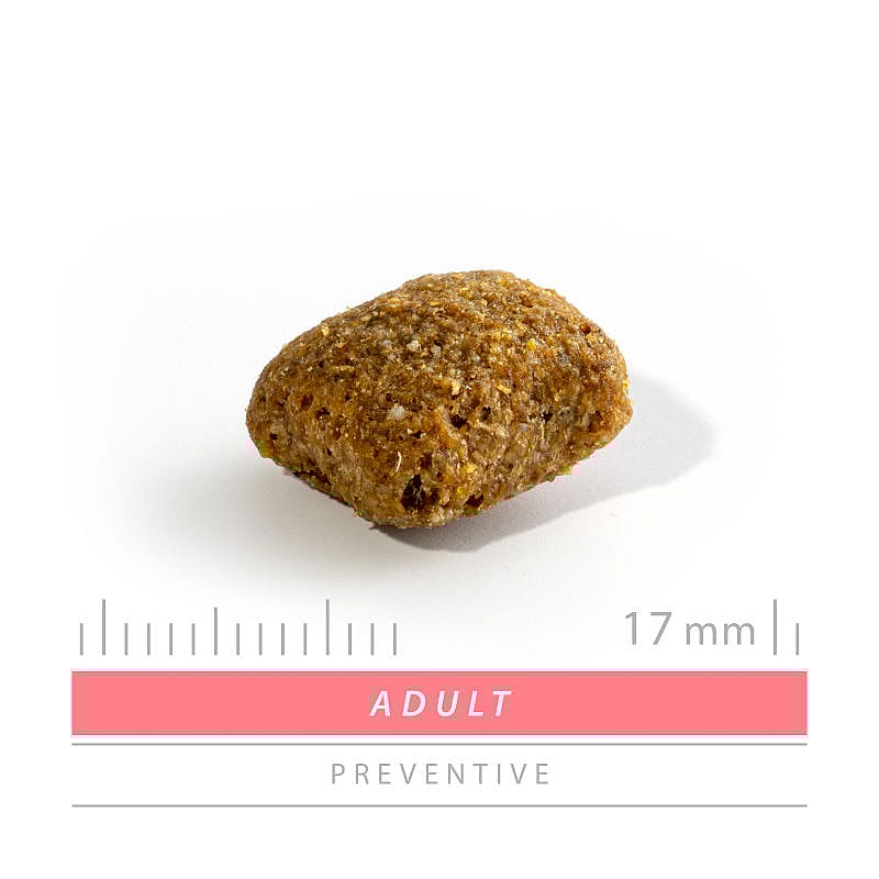 Sanimed Adult Hondenvoer: Alle Rassen - Ondersteunt Weerstand - Spijsvertering